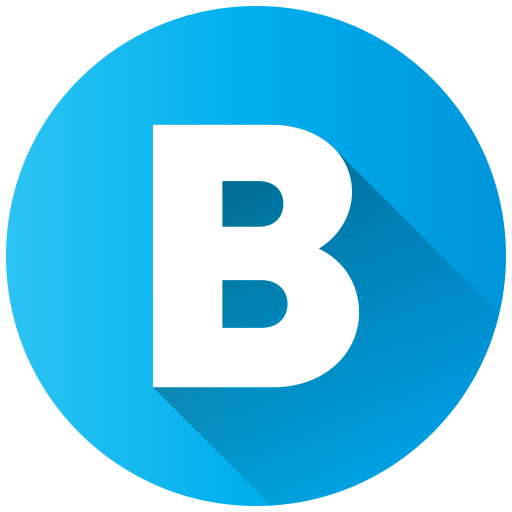 b2b-template.site favicon